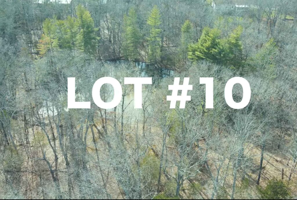 Alt text: An aerial view of a wooded real estate property numbered "LOT #10" in large white text. The image shows a small pond or body of water partially visible through a thick canopy of bare and evergreen trees.